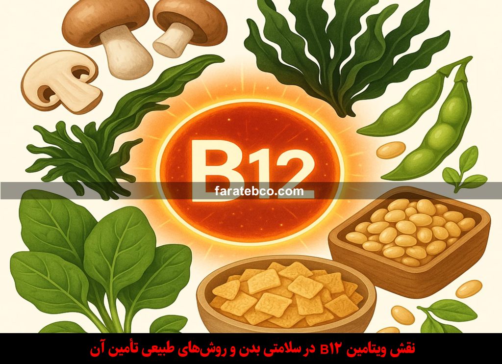 نقش ویتامین B12 در سلامتی بدن و روش‌های طبیعی تأمین آن